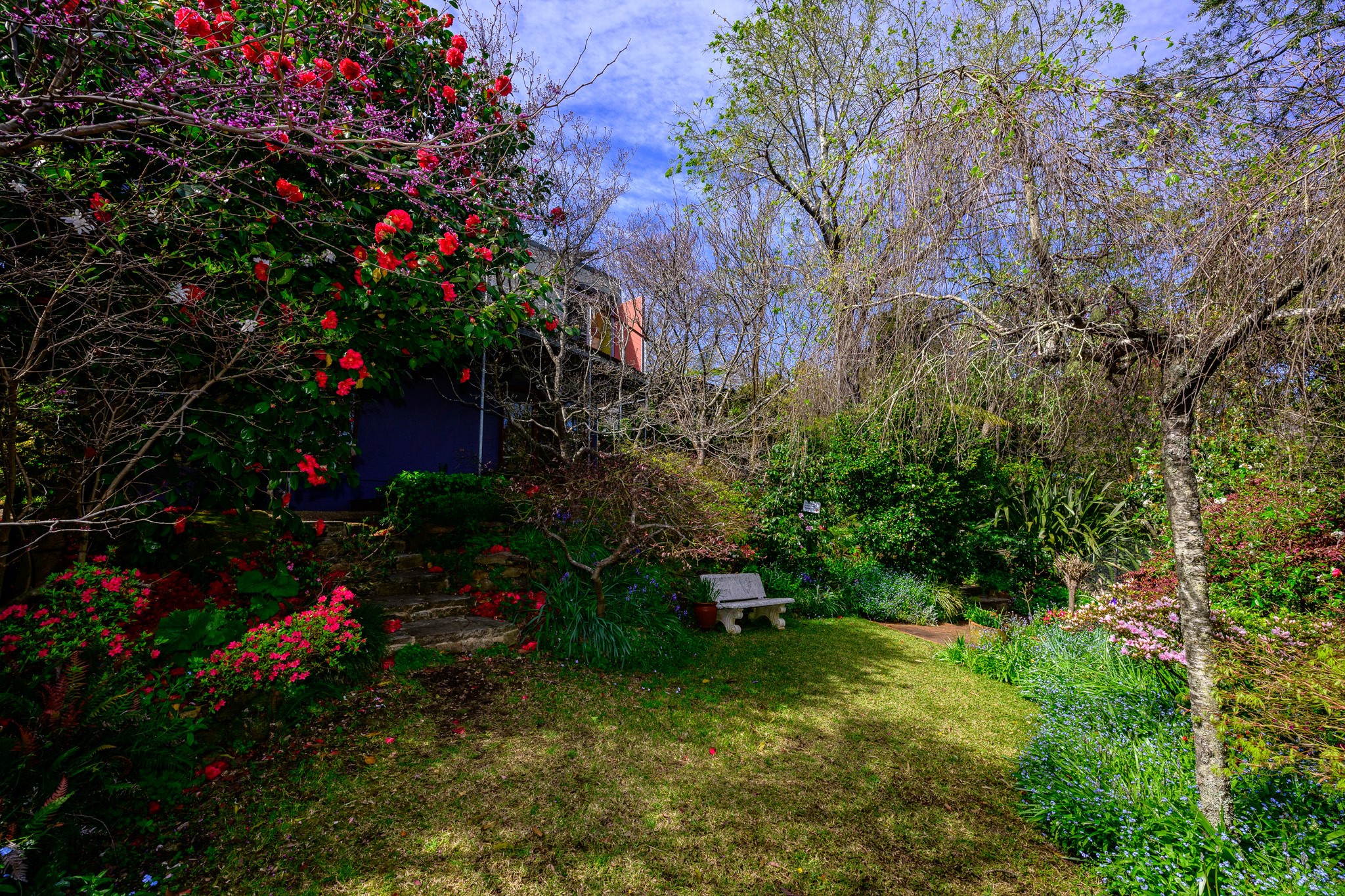 Tanglewood is part of the 2024 mid mountains garden festival